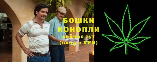 PSILOCYBIN Саяногорск