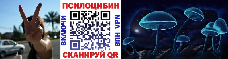 Псилоцибиновые грибы Psilocybe  ссылка на мегу сайт  Нязепетровск 